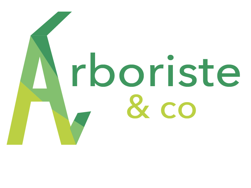 Arboriste and co