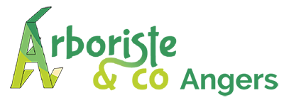 Arboriste and co