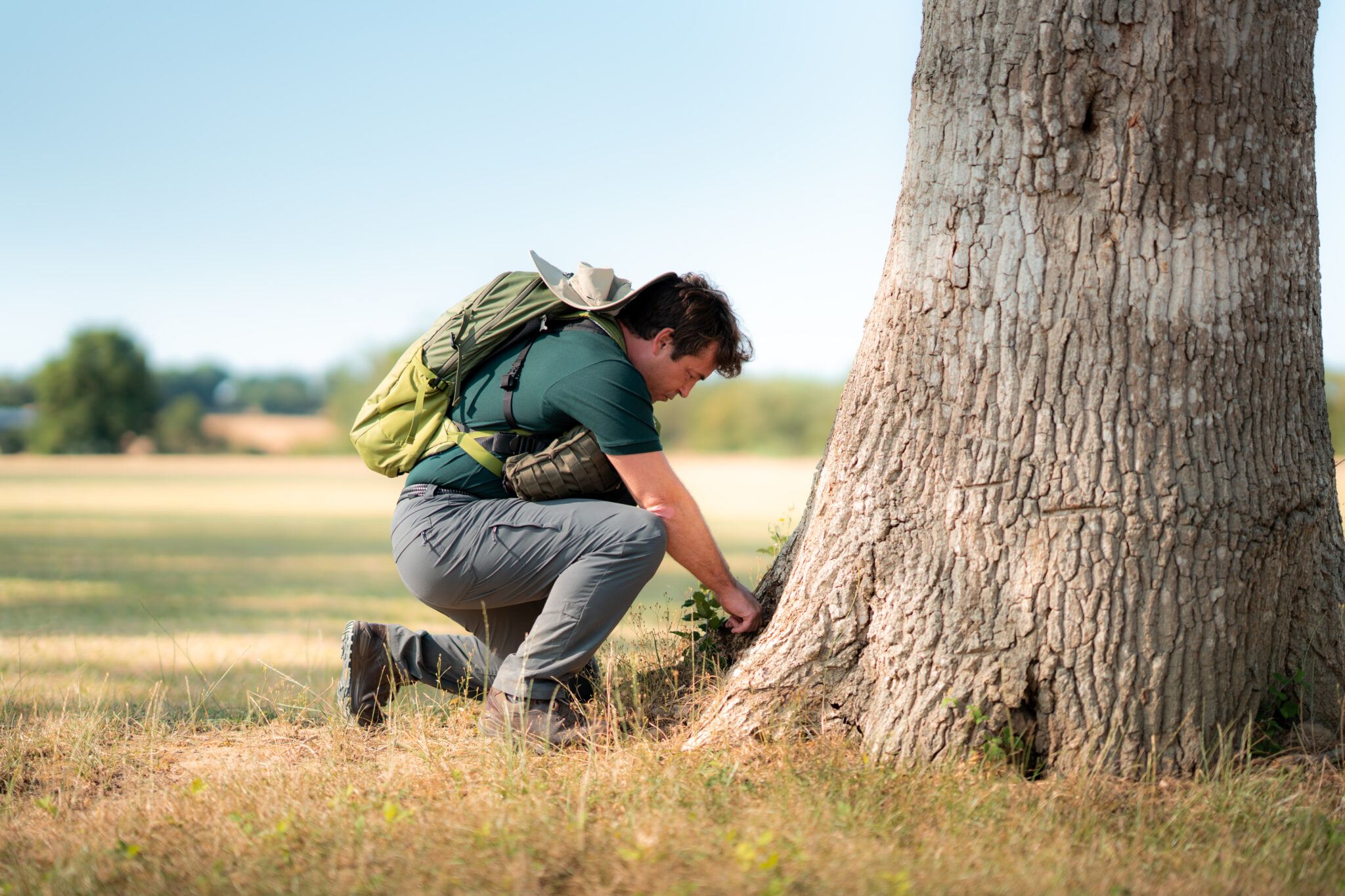 Expertise arboricole au pied d’un arbre en Occitanie