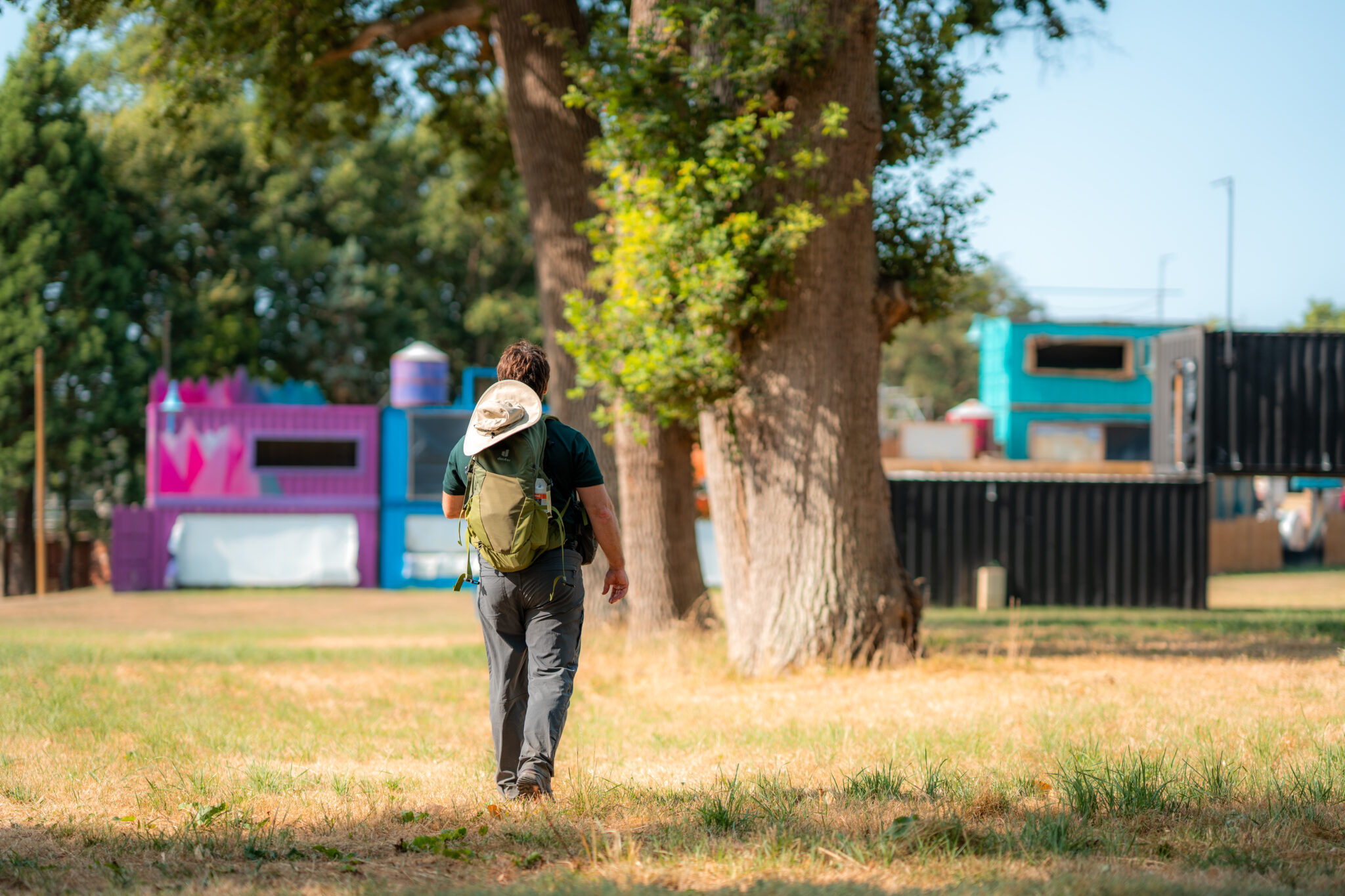 Expertise arboricole en Île-de-France
