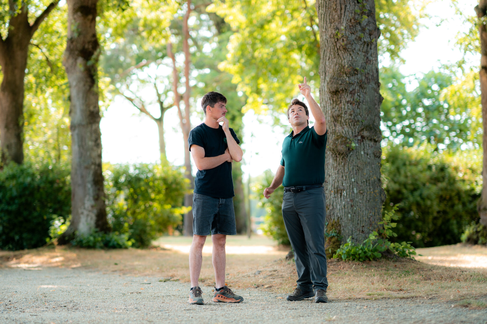 Expertise du patrimoine arboré des collectivités